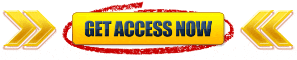 Access Now 2